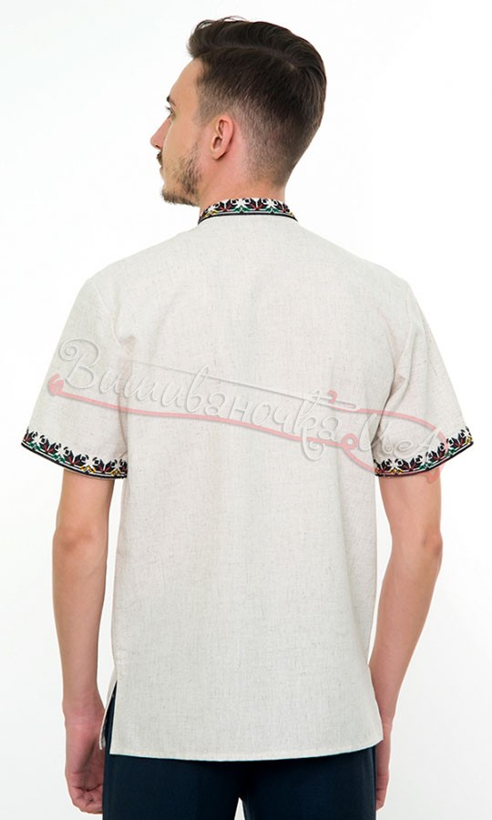 Мужская вышиванка с коротким рукавом 4232к - фото 2 vishivano4ka.com.ua