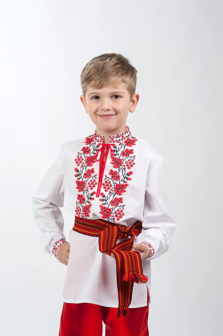 Вышитая рубашка для мальчика 0182 - фото 1 vishivano4ka.com.ua