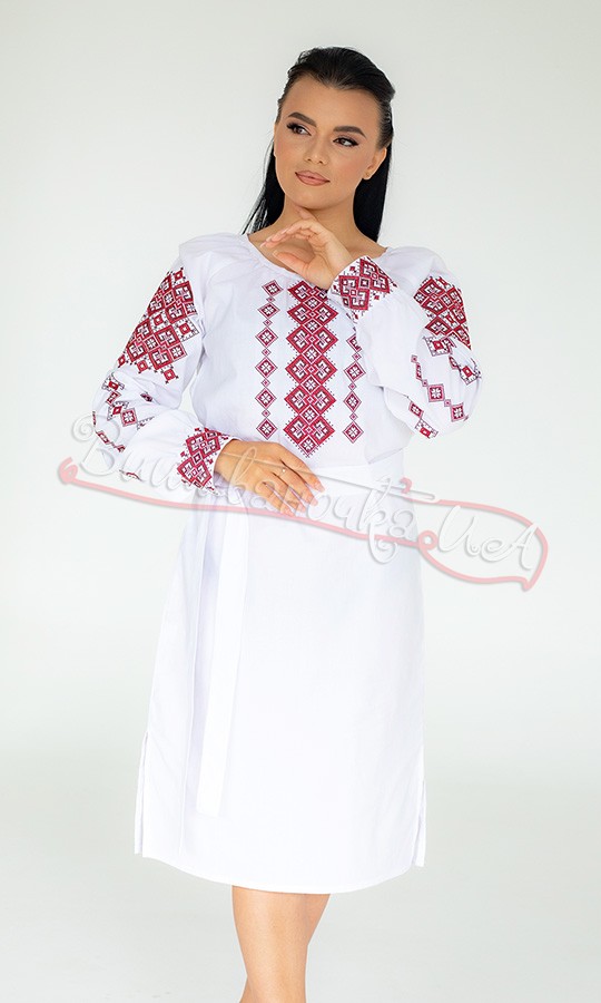 Сукня з традиційним орнаментом 1016-2 - фото 4 vishivano4ka.com.ua