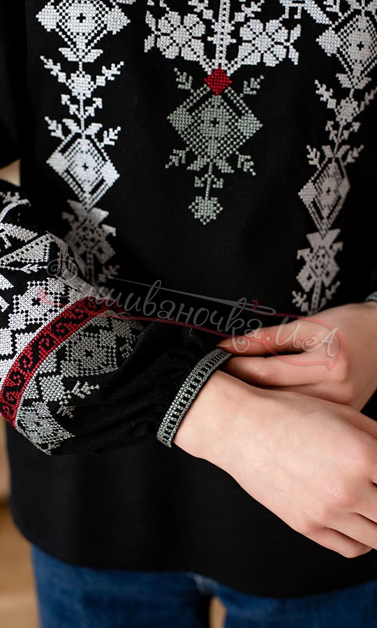 Жіноча вишита блузка 4669 - фото 3 vishivano4ka.com.ua