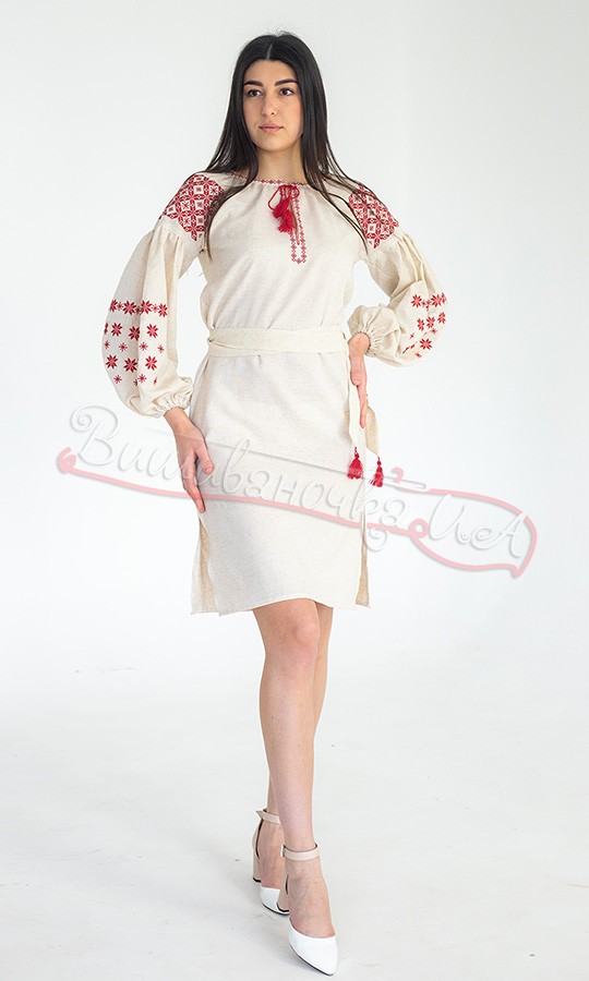 Сукня з червоним орнаментом 135-4 - фото 5 vishivano4ka.com.ua