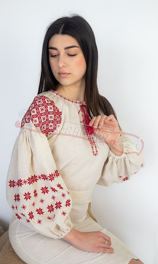 Сукня з червоним орнаментом 135-4 - фото 6 vishivano4ka.com.ua