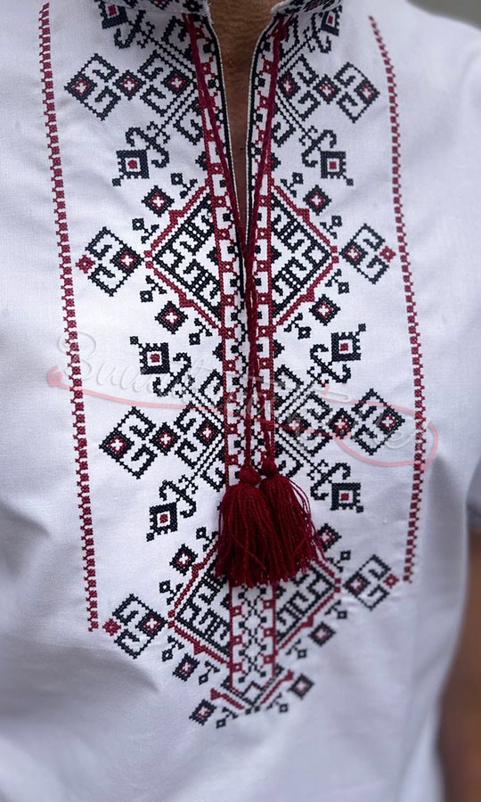 Вишиванка з коротким рукавом 3176-4.1к - фото 2 vishivano4ka.com.ua