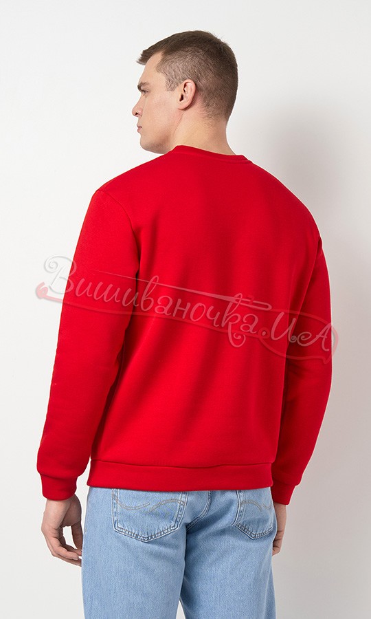 Чоловічий світшот з вишивкою 0013 - фото 3 vishivano4ka.com.ua